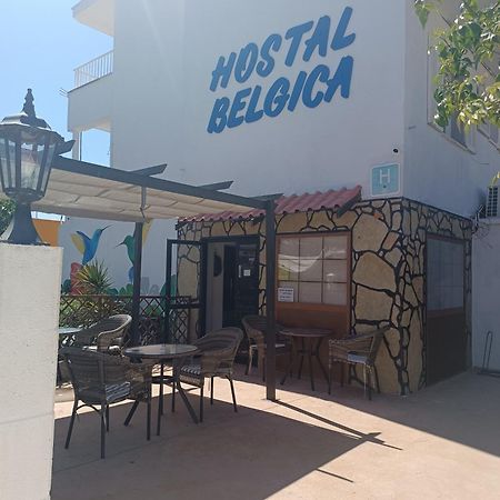 Hostal Belgica Palmanova エクステリア 写真