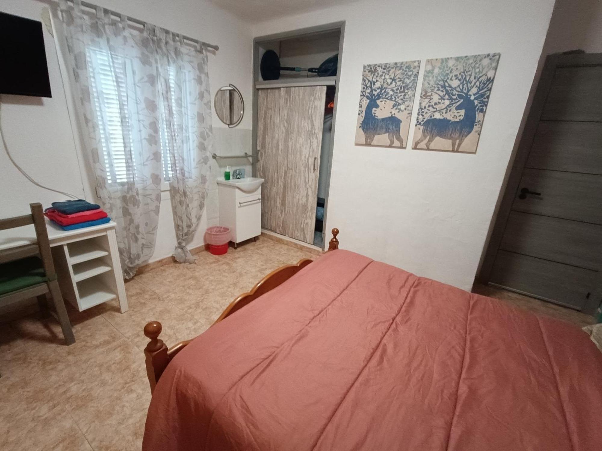 Hostal Belgica Palmanova 部屋 写真
